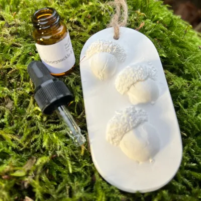 Acorns hanging diffuser Christmas gift