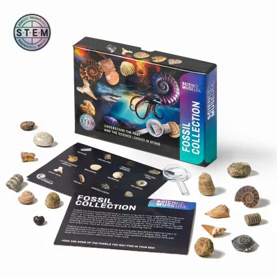 STEM approved introduction fossils