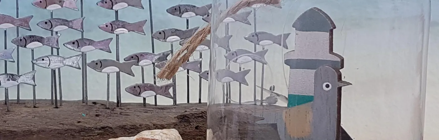 beach coast seaside seagull