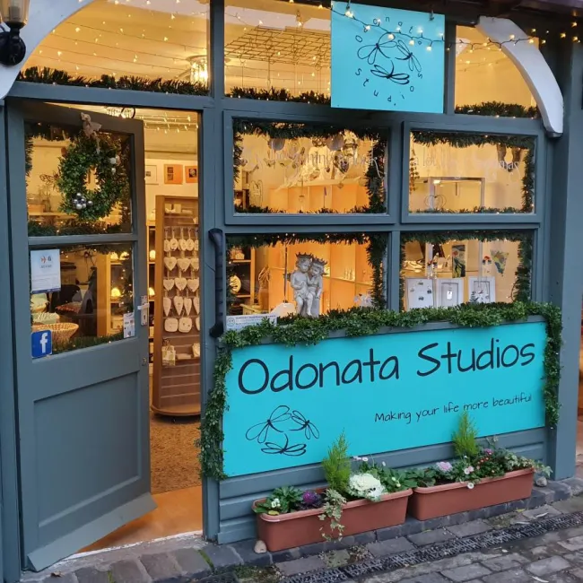 About Odonata Studios