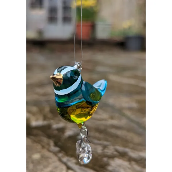 Bluetit blue tit gift garden birds
