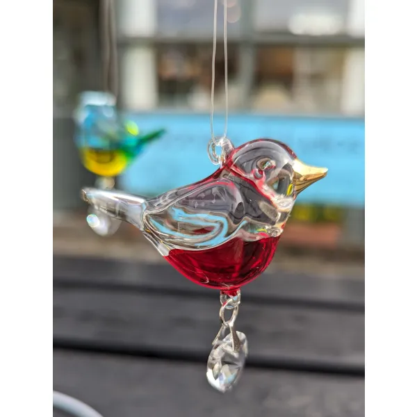 Robin gift renewal pretty bird