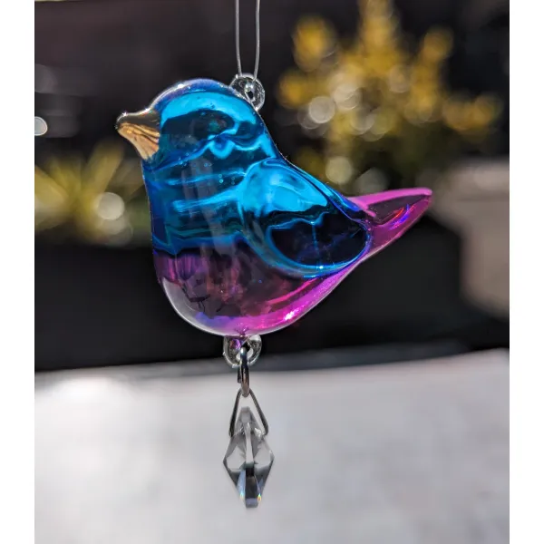 Gift for Bird watcher lover