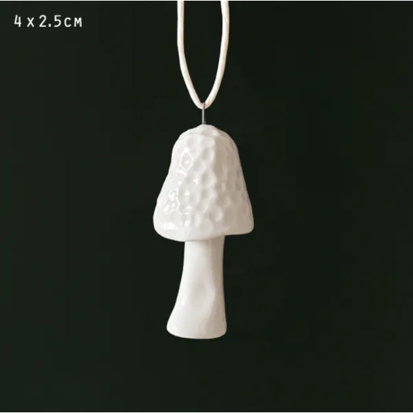 Morel mushroom toadstool