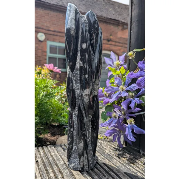 Fossil specimen Orthoceras 