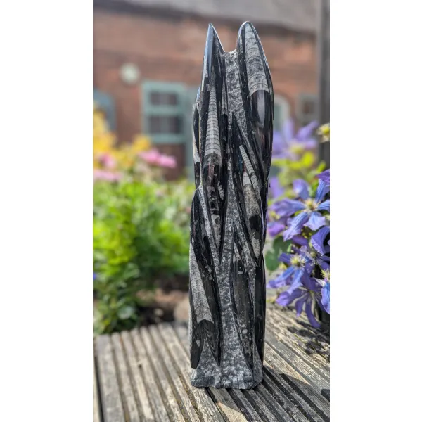 Carved Orthoceras fossil