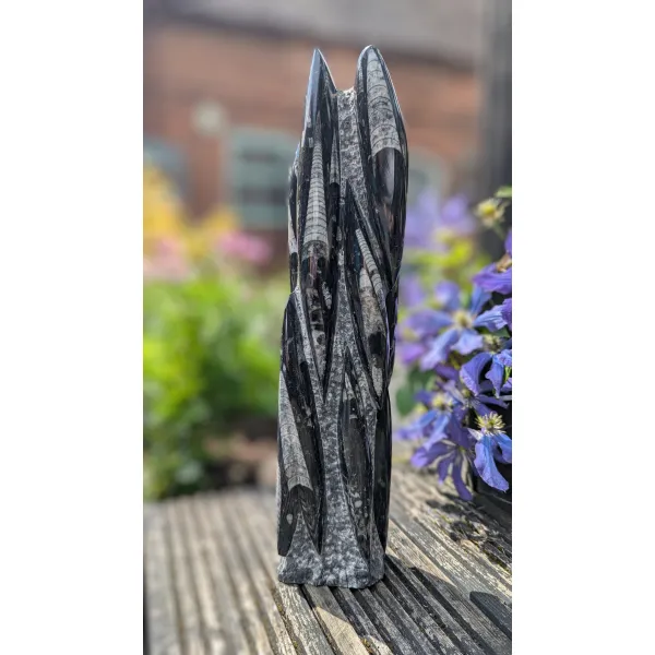 Dynamic fossil pieces for home decor