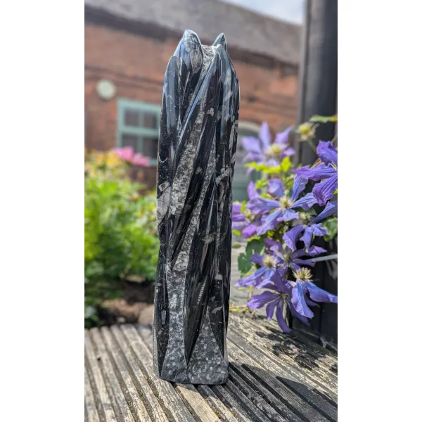 Dramatic Black white home decor