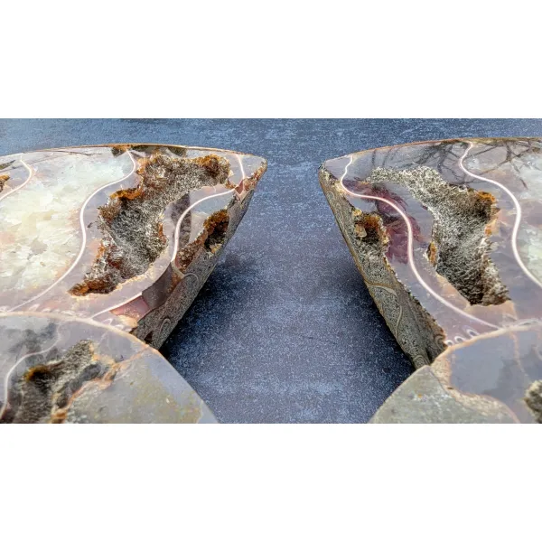 Ammonite crystallised chambers