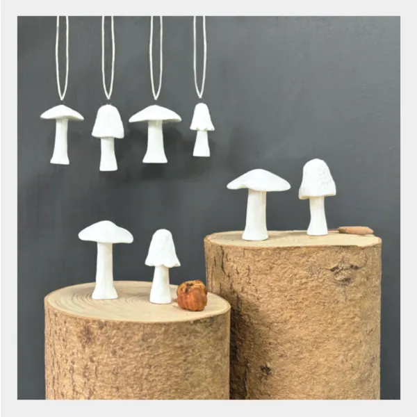 East India autumn range mushrooms