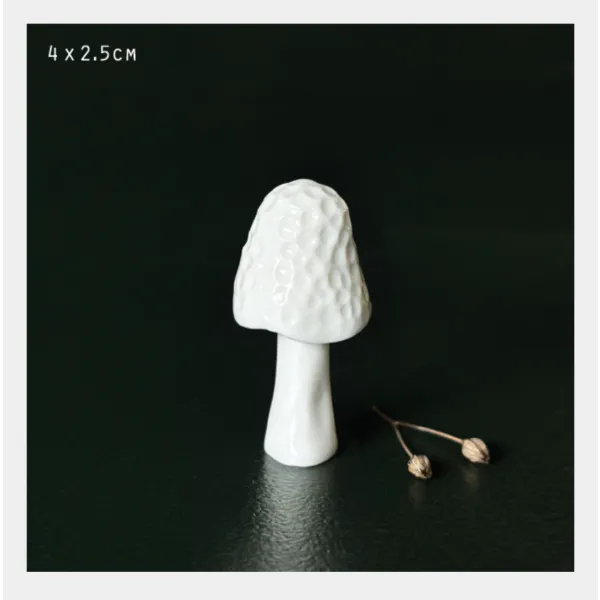 Morel mushroom autumn woodland decs