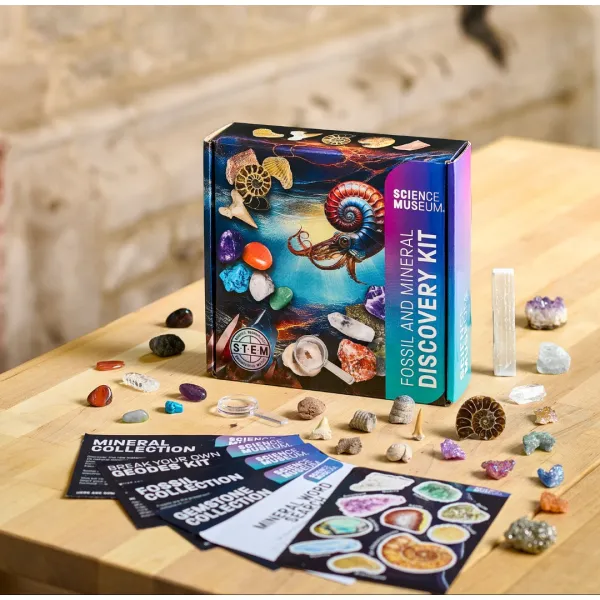 STEM approved educational fossil mineral kit