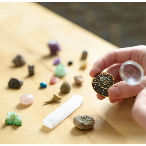 Discover fossils minerals geology