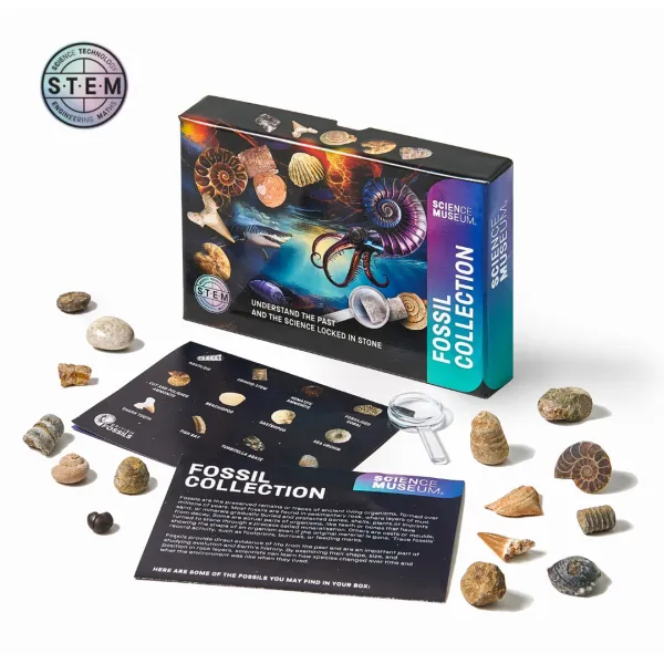 STEM approved introduction fossils