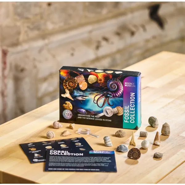 Educational kit junior fossil hunters