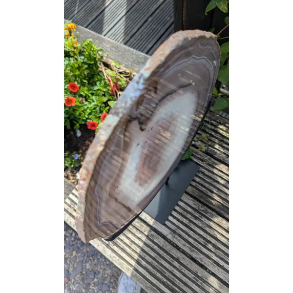Natural Agate slice 