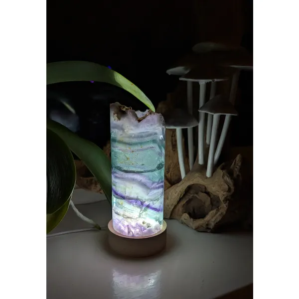 Mineral collectors display crystal