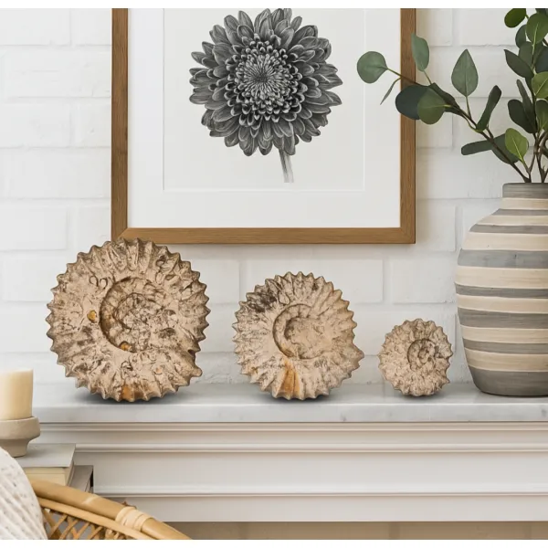 Stylish home mineral display