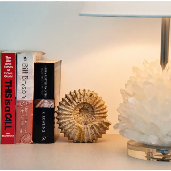 Stylish book end mens gift