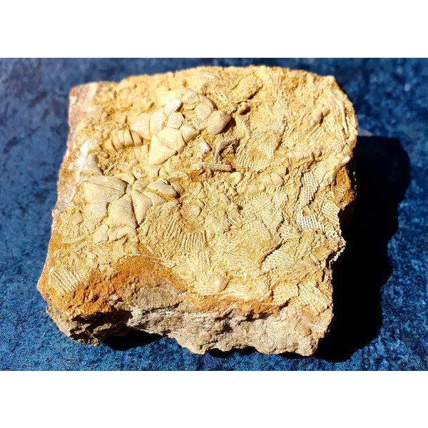 Special gift mineral collector