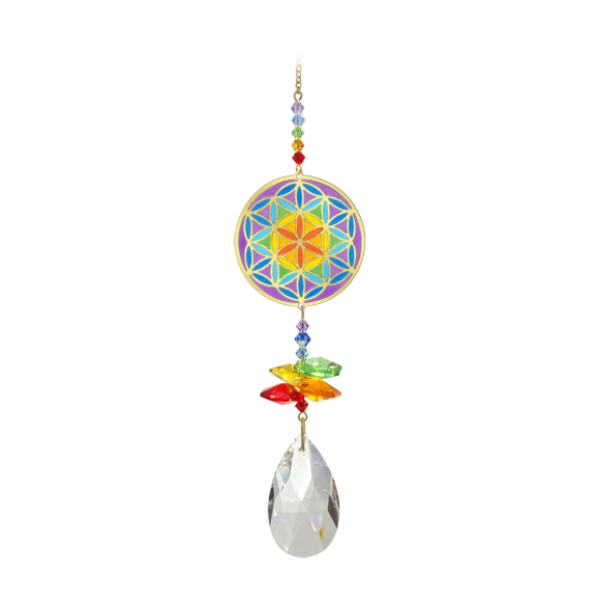 flower life creation symbol Buddhist